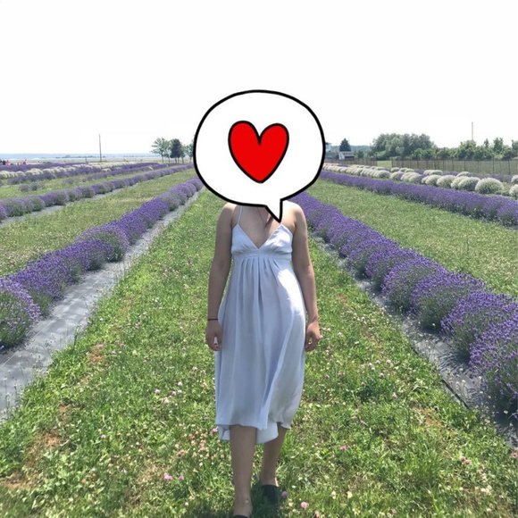 Aritzia Wilfred Lavender Dress